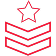 Military icon